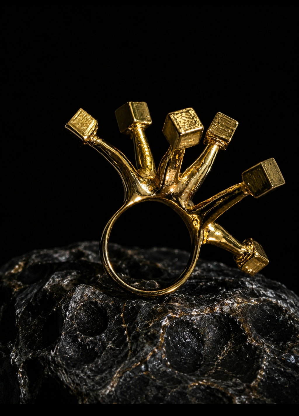 Anillo Explosión Cuántica