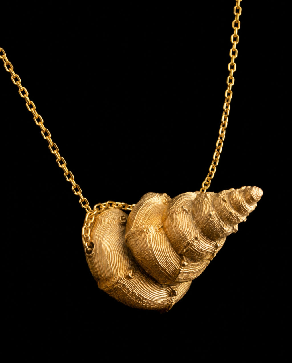 Colgante “Espiral del Mar”