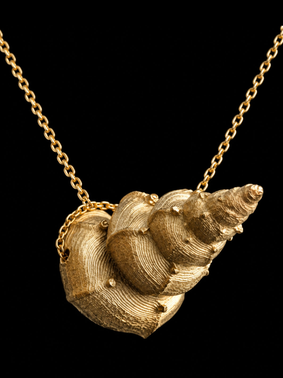 Colgante “Espiral del Mar”