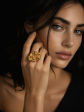 Anillo Órbita Cósmica
